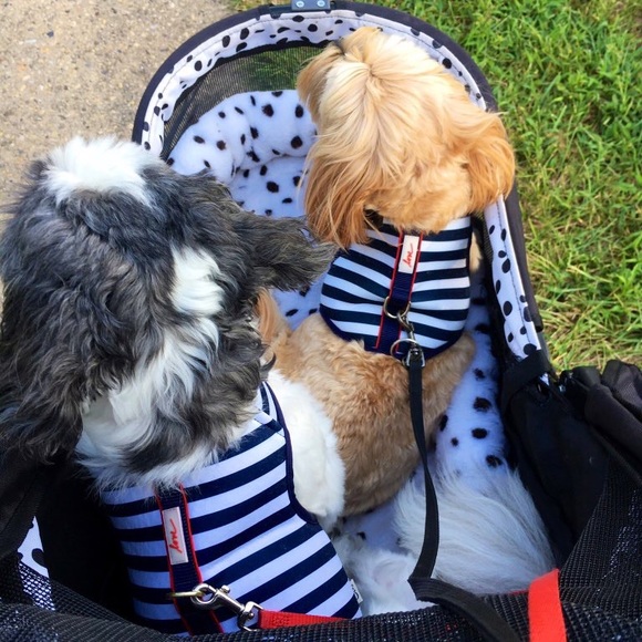 ❤️ - Picture 10 of 14